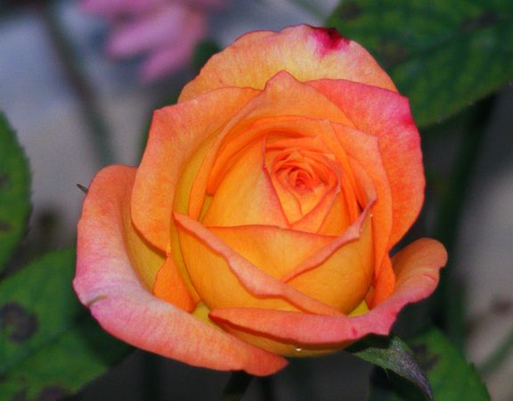 Madeleine photo mad2013_09220054_zpsa5db1105.jpg